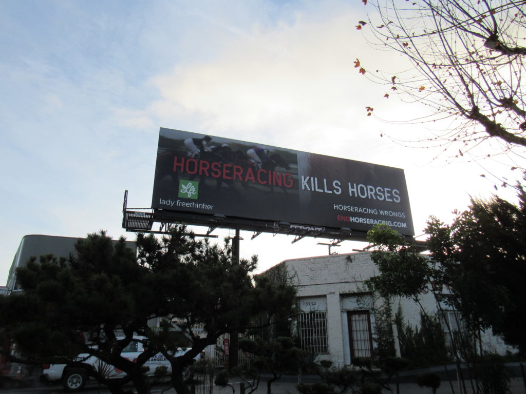Help end horseracing in the United States
