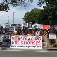 Help end horseracing in the United States