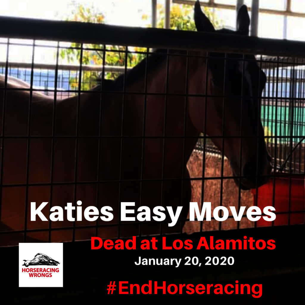 Help end horseracing in the United States