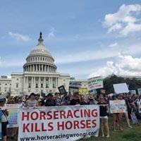 Help end horseracing in the United States