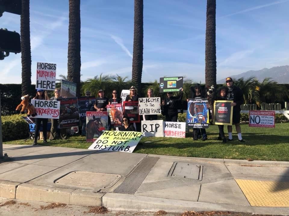 Help end horseracing in the United States