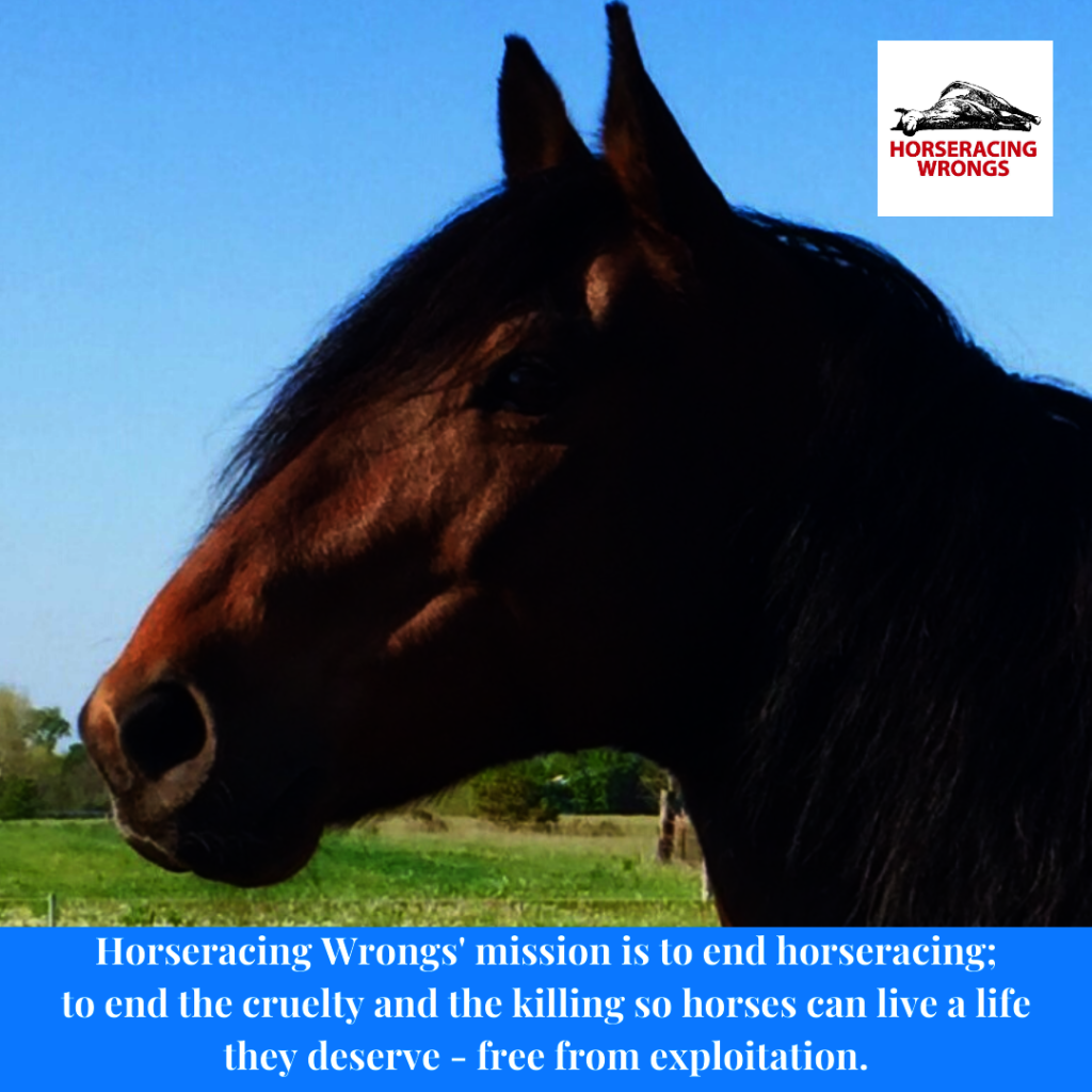 Help end horseracing in the United States