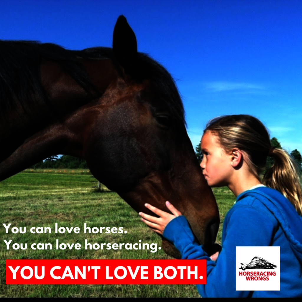 Help end horseracing in the United States