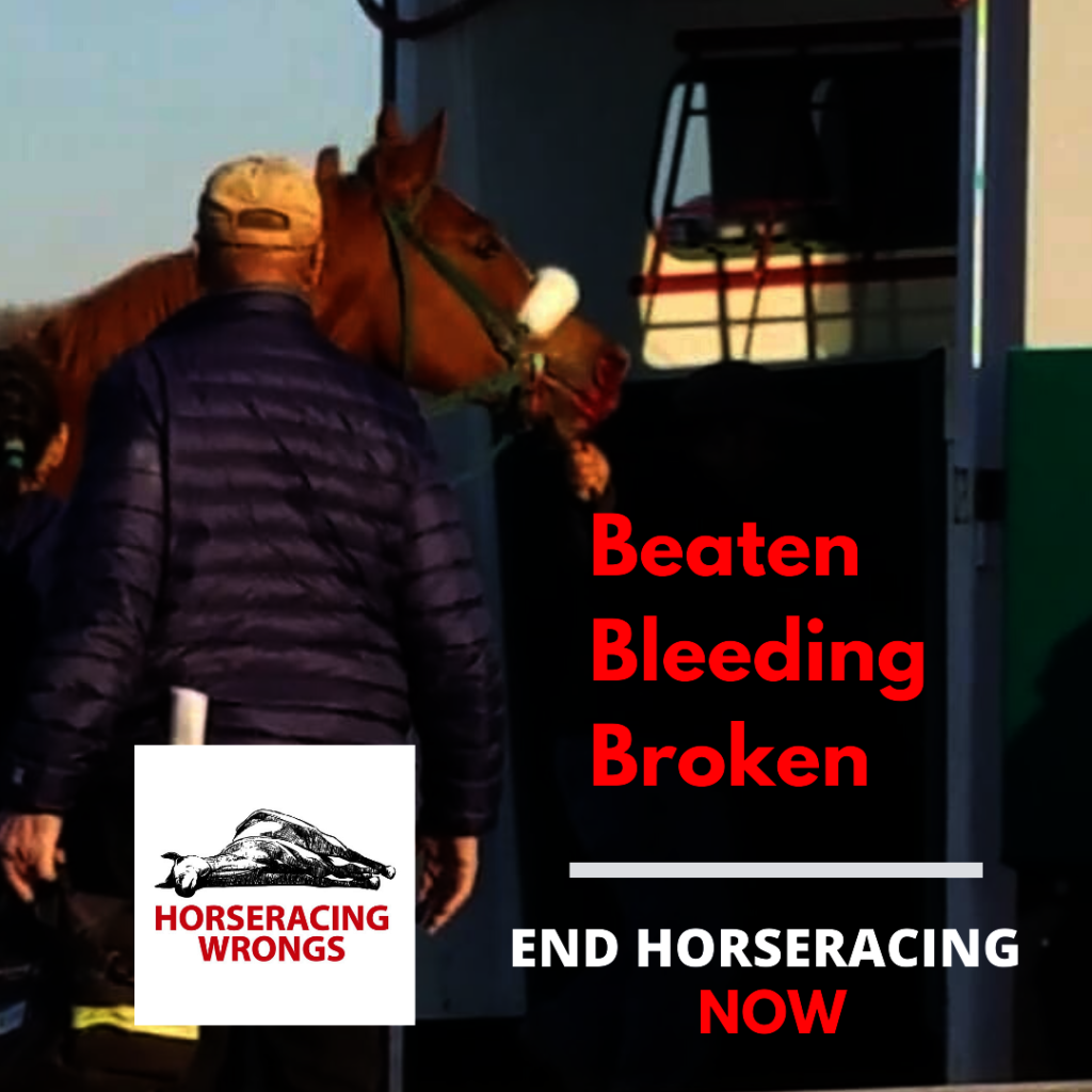 Help end horseracing in the United States