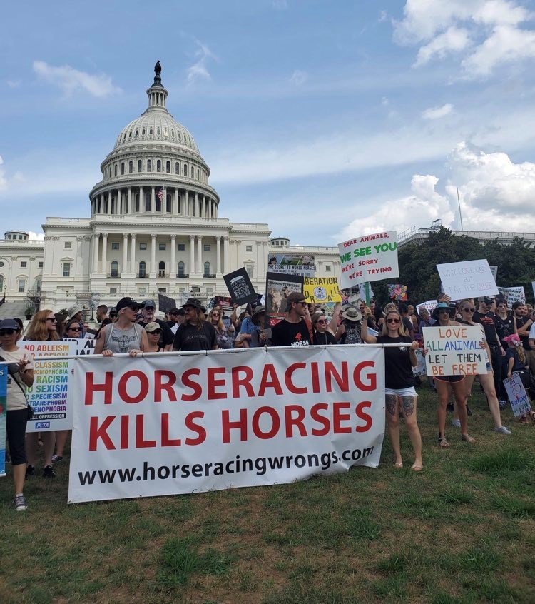 Help end horseracing in the United States