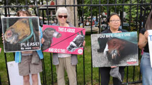 Protesters at Saratoga Race Course for the Belmont