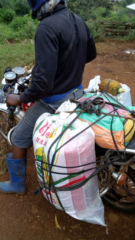 Assisting Internally Displaced Persons in Cameroon