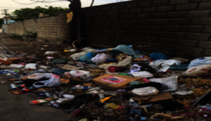Trash Management in Haiti Street