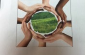 Haiti Center for Environmental Management