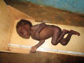 Sanatus at 2.7kg, before treatment