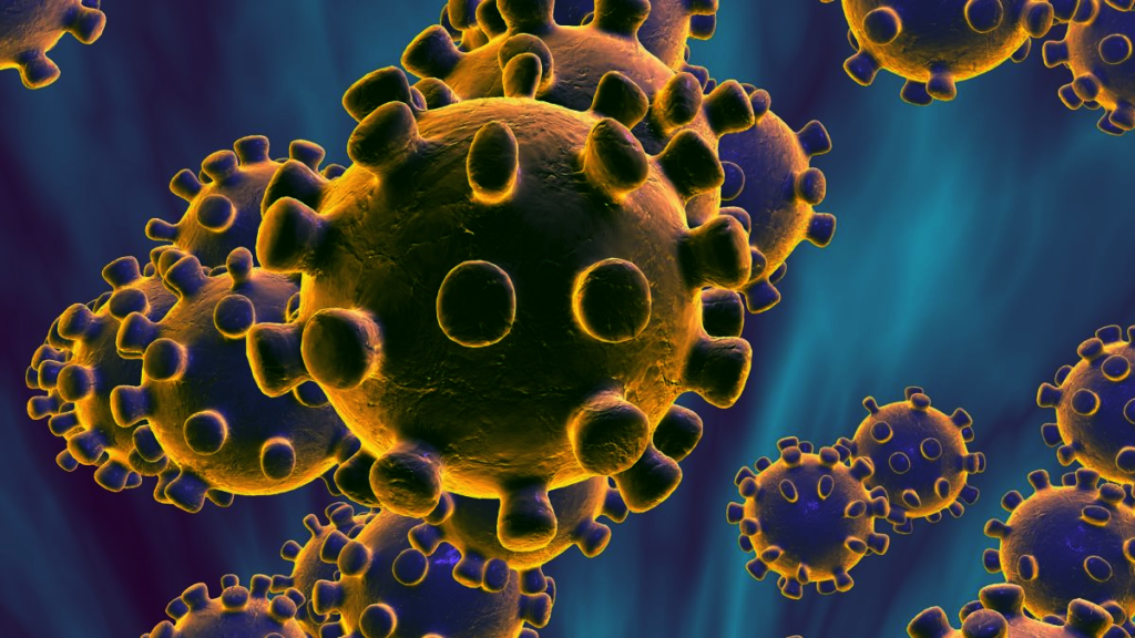 International Coronavirus Prevention and Therapy