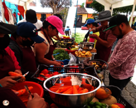 DISCO SOPA - FORO DE DESARROLLO SUSTENTABLE