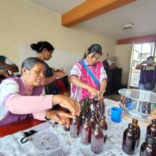 Ancestral wisdom in every tincture