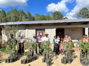 UNECODES Delivery of trees