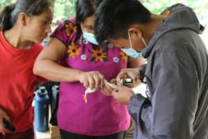 Chicken vaccination Jamubil