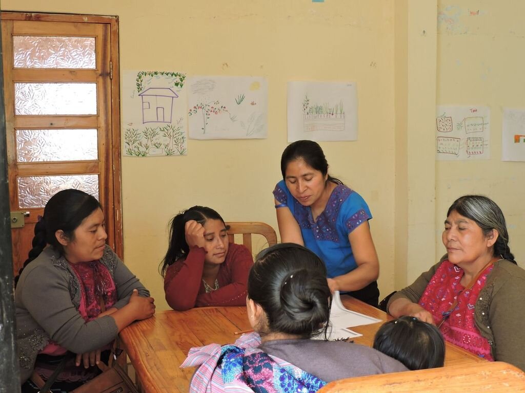Improve quality of health and education in Mexico