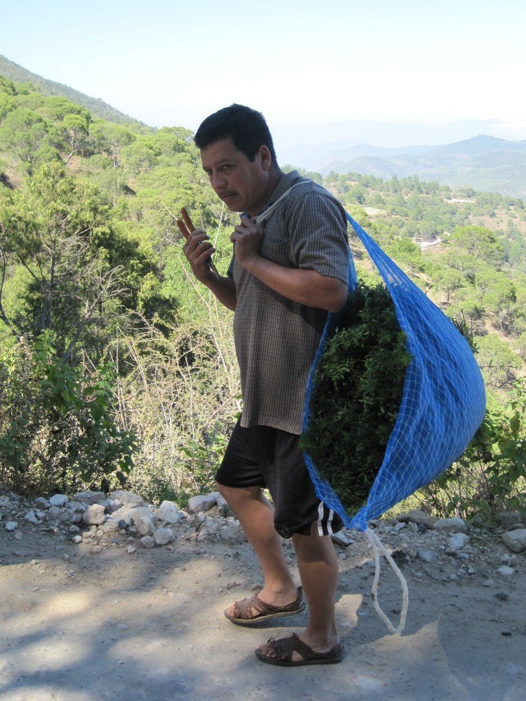 Microfinance for marginalized communities, Mexico
