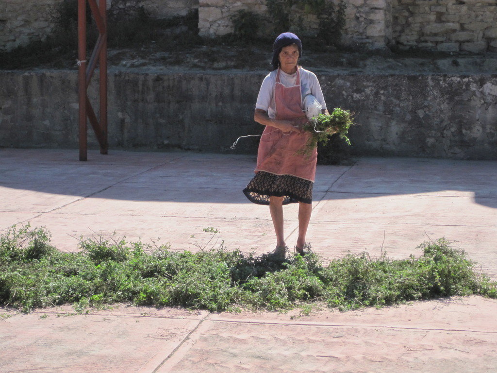 Microfinance for marginalized communities, Mexico