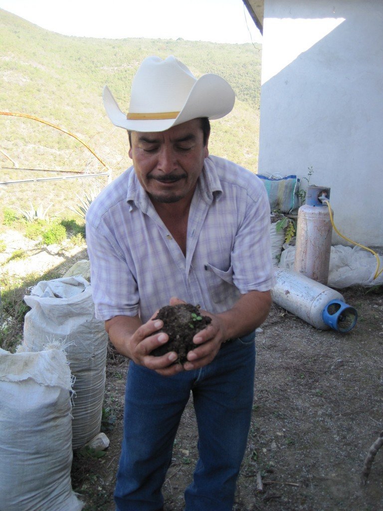 Microfinance for marginalized communities, Mexico