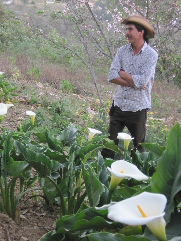 Microfinance for marginalized communities, Mexico