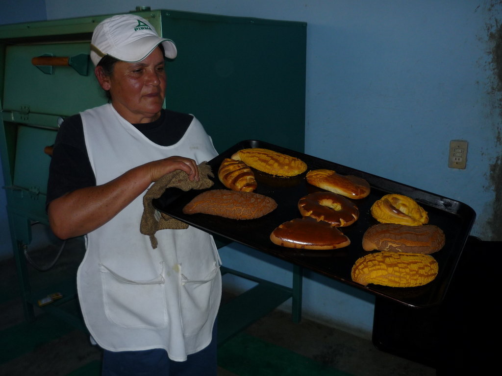 Microfinance for marginalized communities, Mexico
