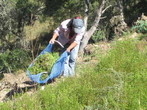 Planting time