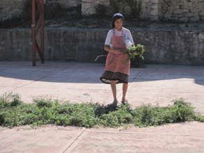 Micro-finance