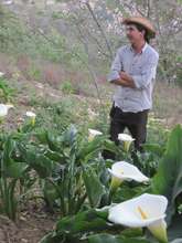 Flowers!