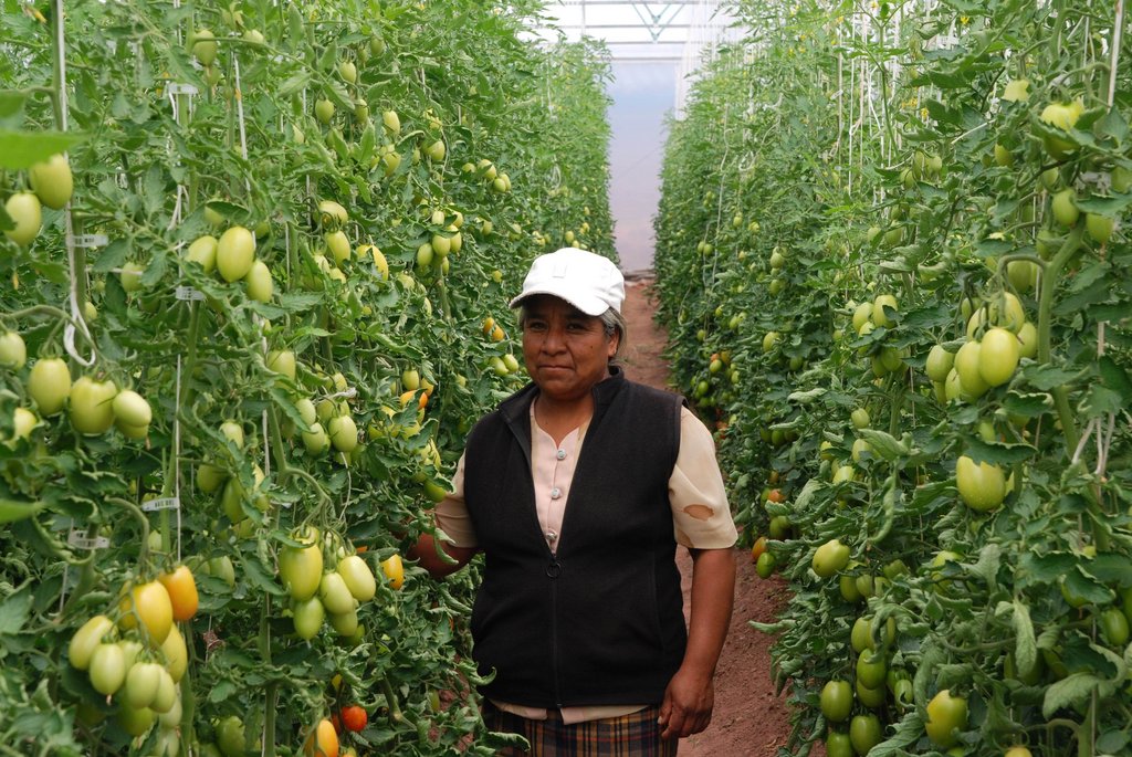 Microfinance for marginalized communities, Mexico
