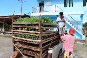 providing seedlings