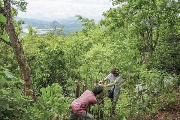 Save 10 acres of biodiverse forest in Sri Lanka