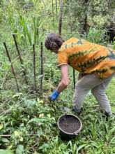 Nel applying organic fertilizer.