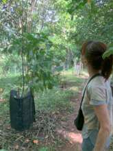 Nel and a growing munamal tree