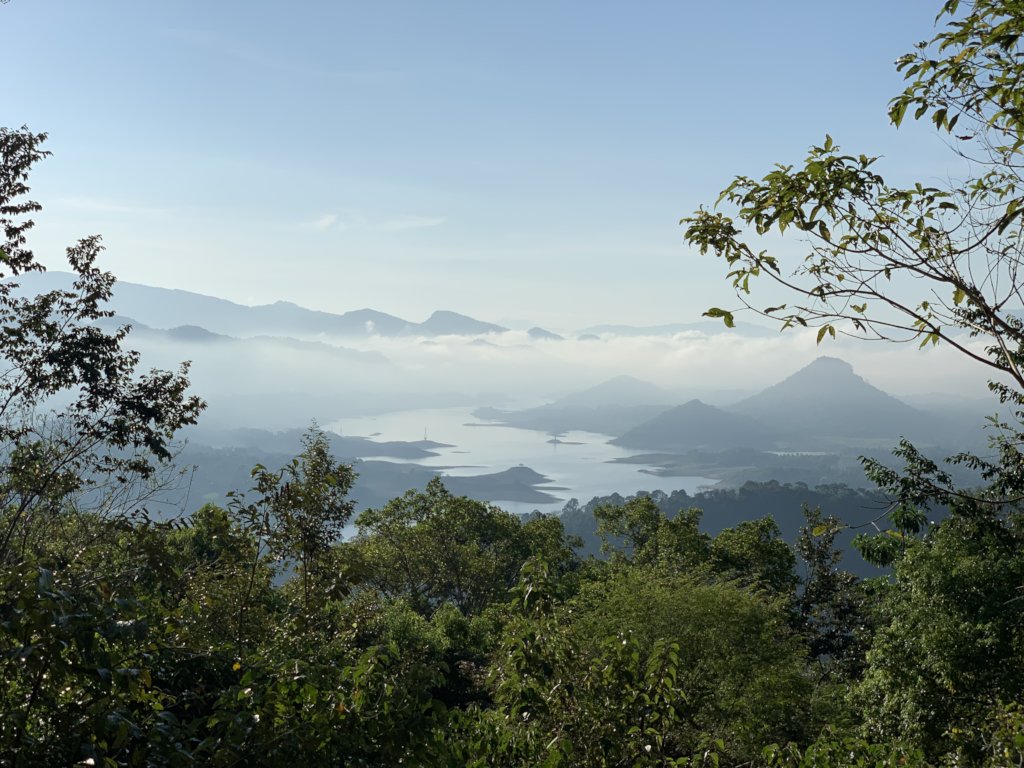 Protect our Kandyan Forests