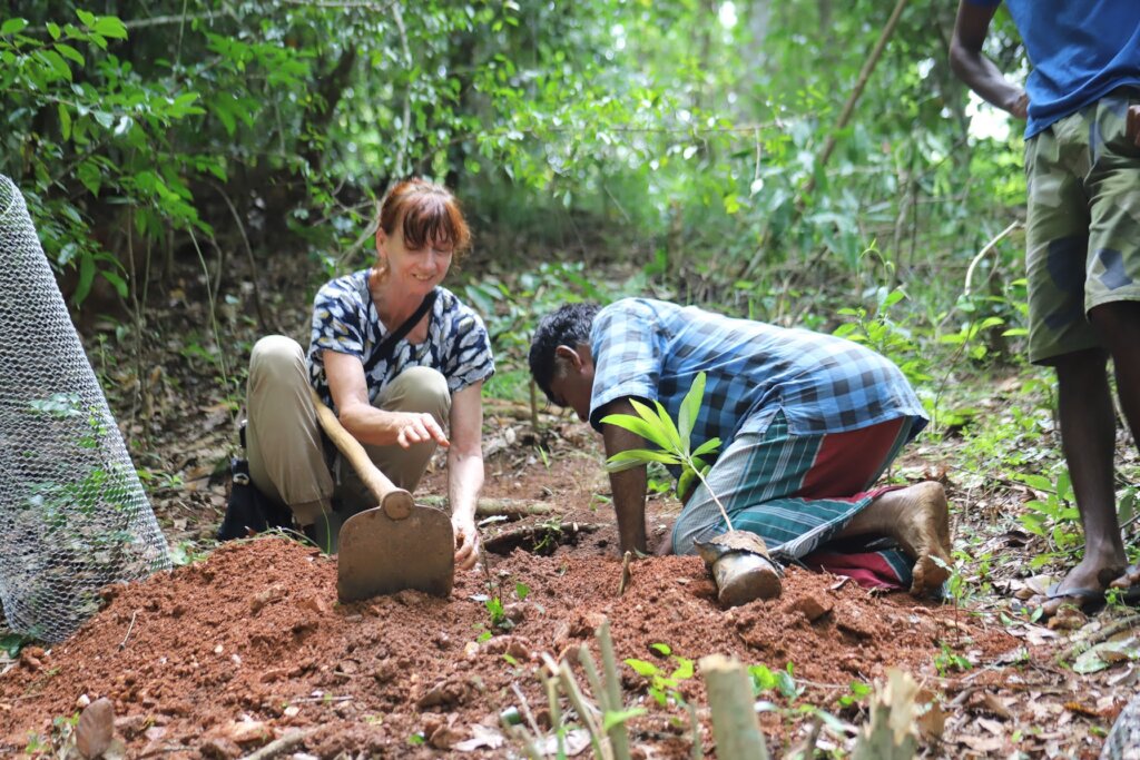 Protect our Kandyan Forests