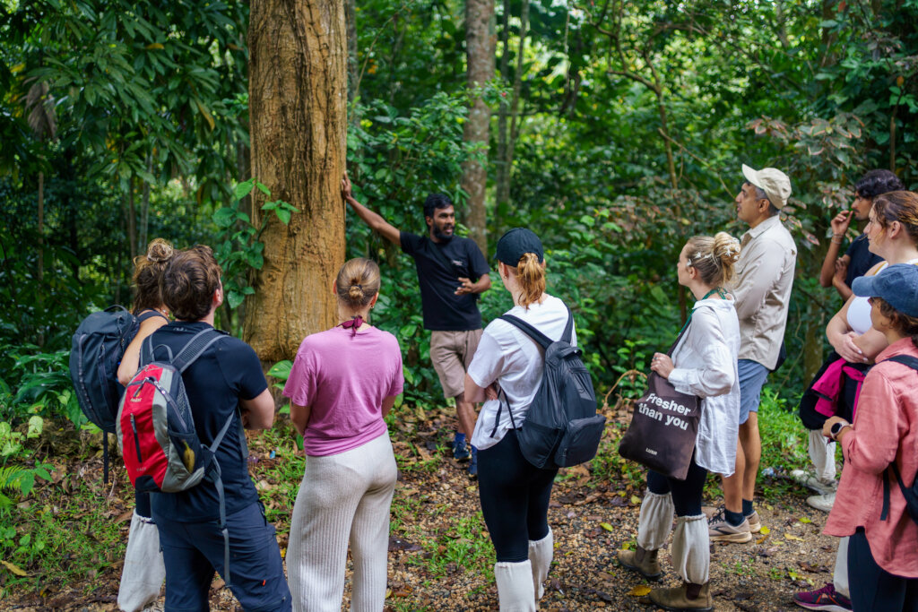 Protect our Kandyan Forests