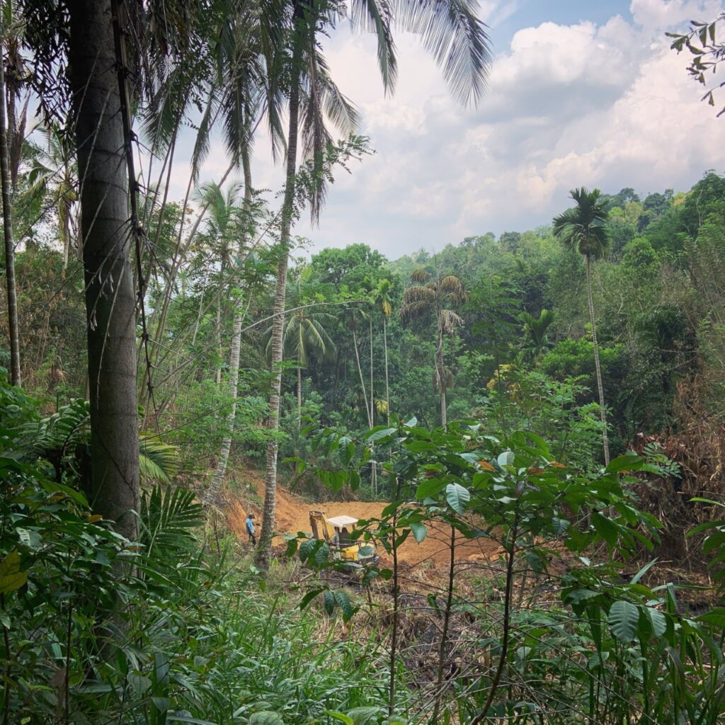 Protect our Kandyan Forests