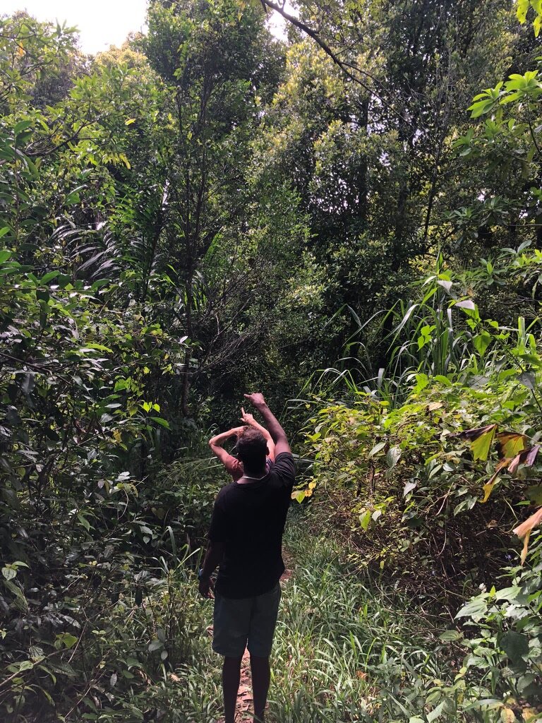 Protect our Kandyan Forests