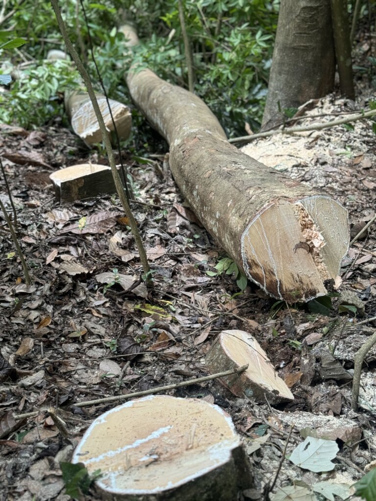 Protect our Kandyan Forests