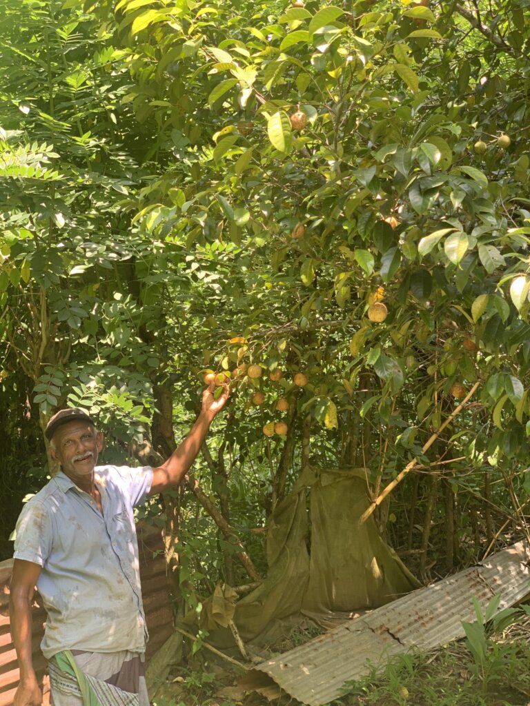 Protect our Kandyan Forests