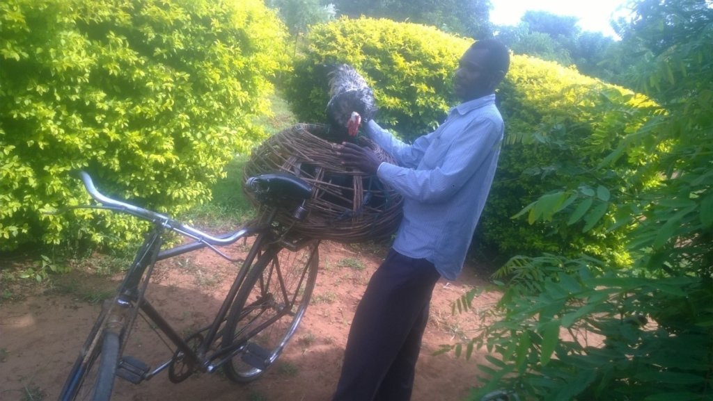 Expanding rural Savings and Loans scheme in Uganda