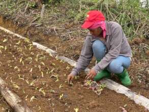 Continue with support