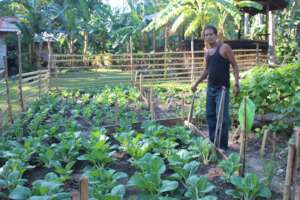 Small farmer support