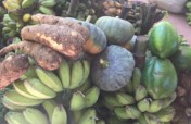 Provide Gift of Farming Inputs to Poor Farmers