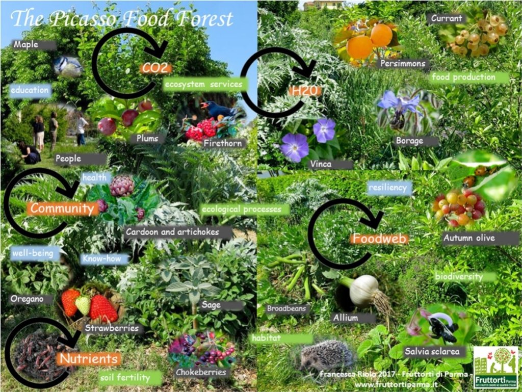 Urban agri-forest for children & youth in Portugal