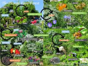 Urban agri-forest for children & youth in Portugal