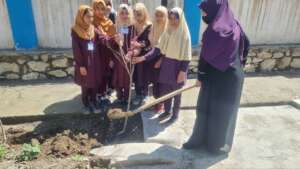 Students Planting Trees