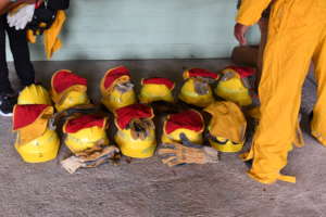 Fire-related PPE: Photo by Sayuri Tzul/Ya'axche