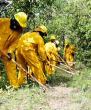 Fire Management: Photo by Sayuri Tzul/Ya'axche