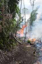 "During" - Controlled Burn in Big Falls Village